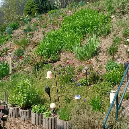 Papststein Apartament